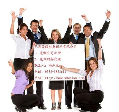 芜湖企业财税服务指南 代理记账与财务代理详解